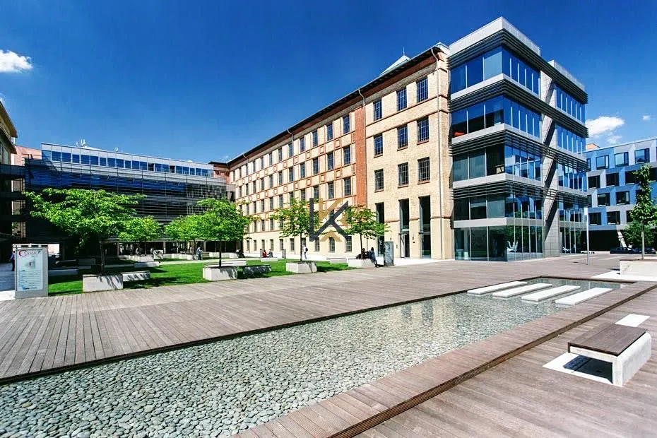 Pronájem kanceláře 330 m²